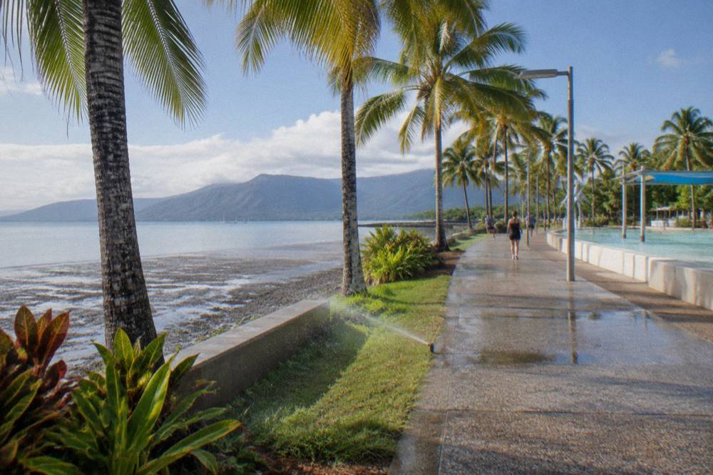 Palm lined esplanade waterfront under bright tropical sky with calm morning water